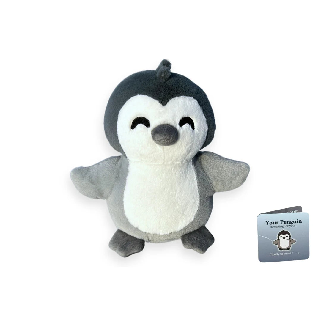 Peluche adozione animale marino — Pinguino, foto 8
